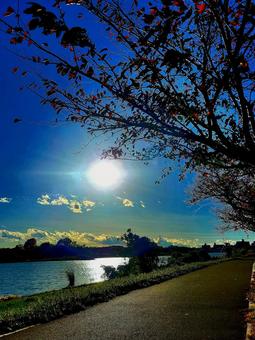 何気ない日常の午後 空,雲,晴れの写真素材