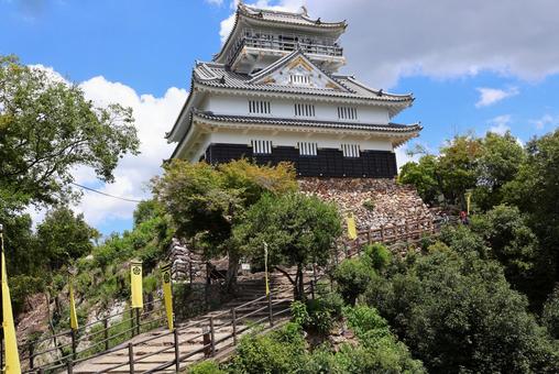 7月下旬の岐阜城の天守 7月下旬の岐阜城の天守 岐阜城,天守,石垣の写真素材