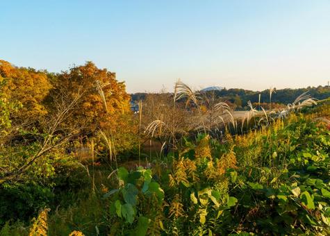 秋の狭山湖の堤防からベルーナドームを望む 狭山湖,堤防,秋の写真素材