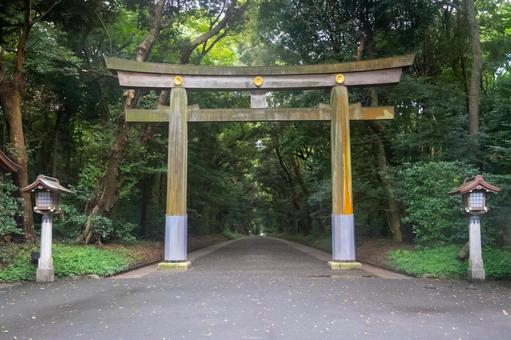 東京 明治神宮 北参道鳥居 東京 明治神宮 北参道鳥居 明治神宮,神社,神宮の写真素材