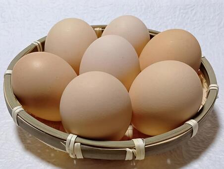 さくらたまご 卵,たまご,生卵の写真素材