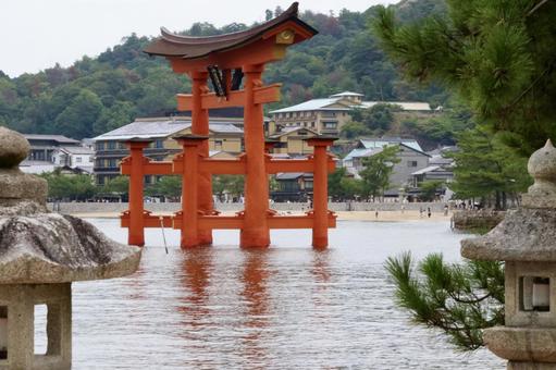 石灯籠と大鳥居 石灯籠と大鳥居 厳島神社,宮島,広島の写真素材