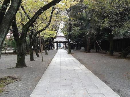風景写真】靖国神社の風景 風景写真】靖国神社の風景 靖国神社,神社,境内の写真素材