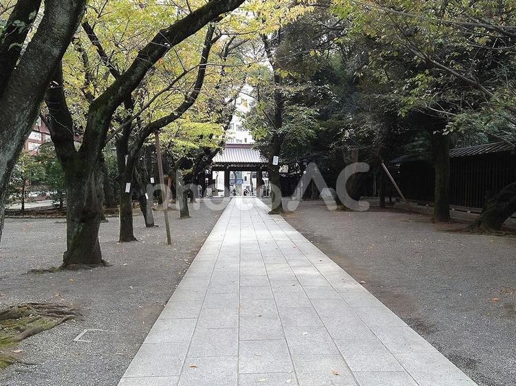 風景写真】靖国神社の風景 靖国神社,神社,境内の写真素材