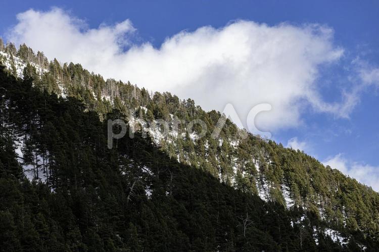 青空と雲と森林 山,森林,青空の写真素材