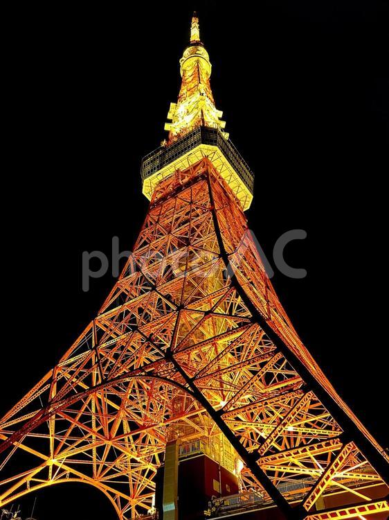 ライトアップされた夜の東京タワー2 東京タワー,タワー,ライトアップの写真素材