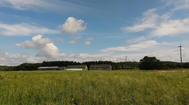 背景 草原 背景 草原の写真