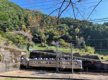 トンネルから出てくる南海電鉄の電車01 電車,鉄道,南海の写真素材