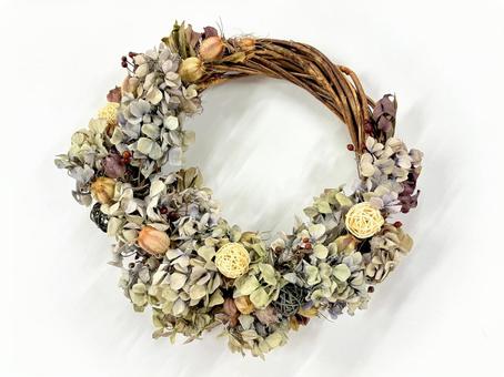 紫陽花をふんだんに使ったリース 01 リース,wreath,ドライフラワーの写真素材