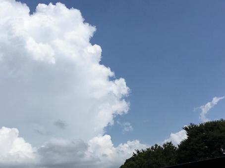 雲と青空と木 雲と青空と木の写真