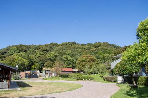赤塚山公園 赤塚山公園,公園,散歩の写真素材