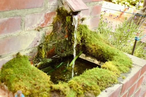 苔の井戸 苔,井戸,水飲み場の写真素材