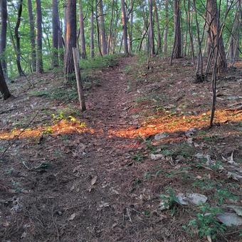 夕日が差す登山道 夕日が差す登山道 夕日,陽光,太陽の写真素材