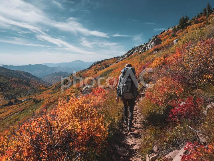 秋の山を行く旅人 ハイキング,登山,秋の写真素材