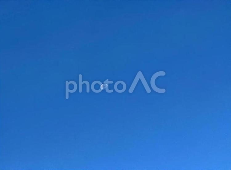 真昼の月　221015 昼の月,月,自然の写真素材