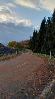 魚沼スカイラインの紅葉と道路 紅葉,道,山の写真素材