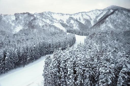 山の雪景色 雪景色,ノルディックスキー,クロスカントリースキーの写真素材