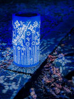 ランプ ランプ,花柄,ライトアップの写真素材