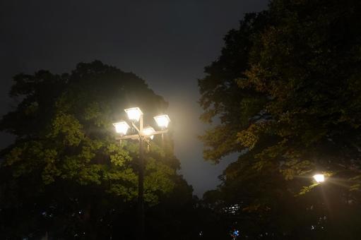 ライト ライト,あかり,外灯の写真素材