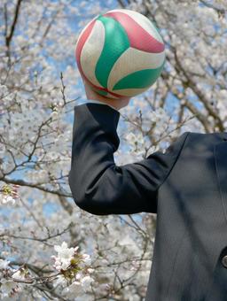 バレーボールと男子高校生 バレーボール,投げる,部活の写真素材