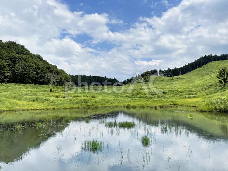美しい大草原と湖の反射 草原,空,湖の写真素材