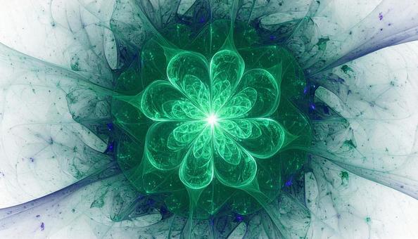 エメラルドフラワー エメラルドフラワーの写真