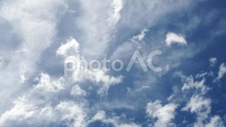 7月の青空と雲 7月,青空,空の写真素材