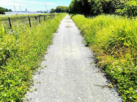 晴れた日の小道 晴れた日の小道の写真