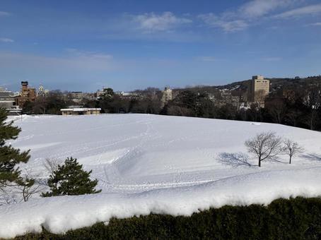 一面雪 一面雪の写真
