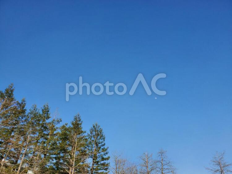 青空の風景01 青空,風景,木の写真素材
