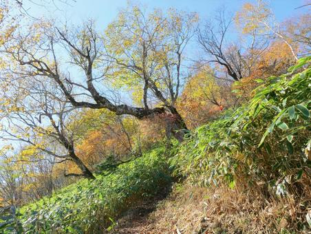 秋の霧降高原丸山登山道 秋の霧降高原丸山登山道 霧降高原,ハイキング,高原の写真素材