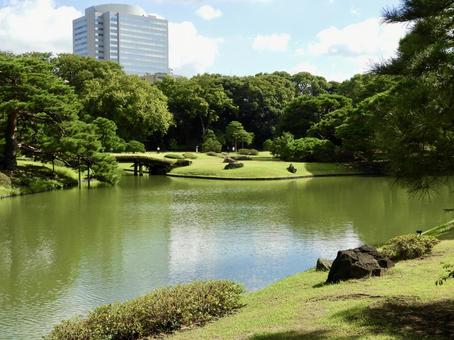 特別名勝六義園7 特別名勝六義園7 六義園,庭園,大名庭園の写真素材