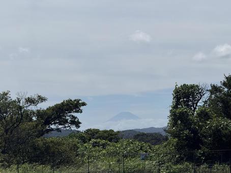富士山 富士山の写真