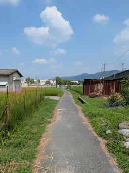 道。 道。の写真
