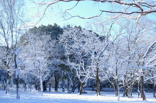 白い公園 風景,冬,小雪の写真素材
