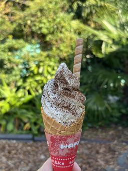 ソフトクリーム コーヒーソフト,アイスクリーム,おいしいの写真素材