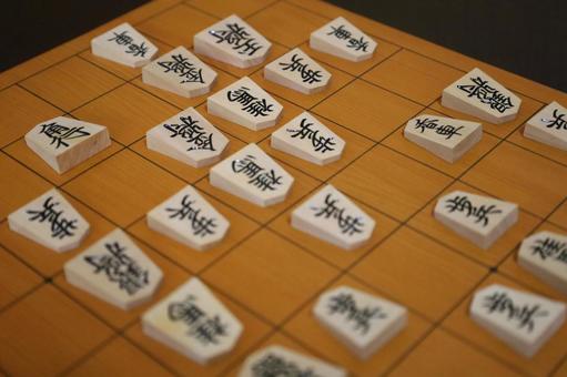 Photo, shogi, kisei championship game 2, cast a chess record, 