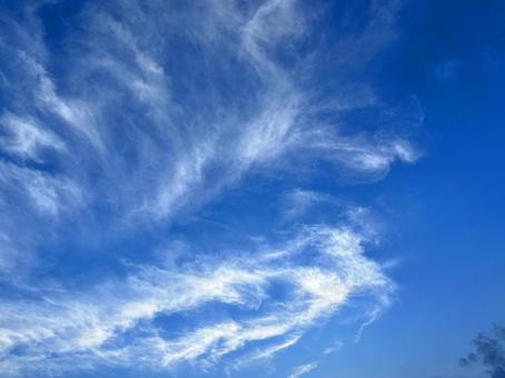 空の雲の写真