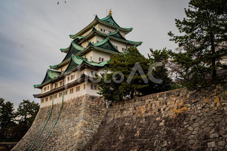 名古屋　名古屋城の風景 名古屋,愛知,愛知県の写真素材
