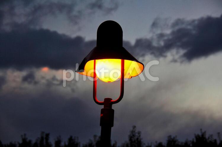 夕方の街灯の明かり 街灯,夕暮れ,明かりの写真素材