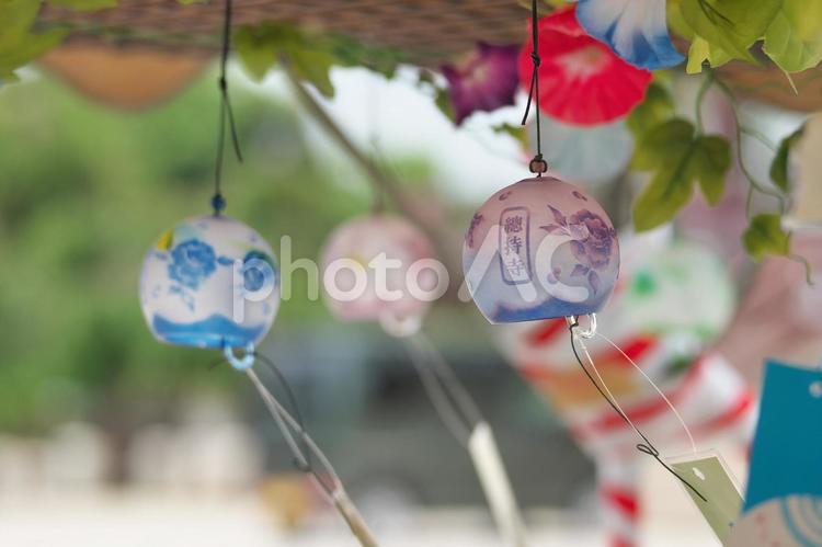 西新井大師（総持寺）　風鈴祭り 西新井大師,総持寺,總持寺の写真素材