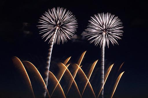 25年長岡まつり 花火 25年長岡まつり 花火 夜空,花火,鮮やかの写真素材