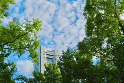 ランドマークタワーと空と雲と木々 ランドマークタワーと空と雲と木々 ランドマークタワー,空,雲の写真素材