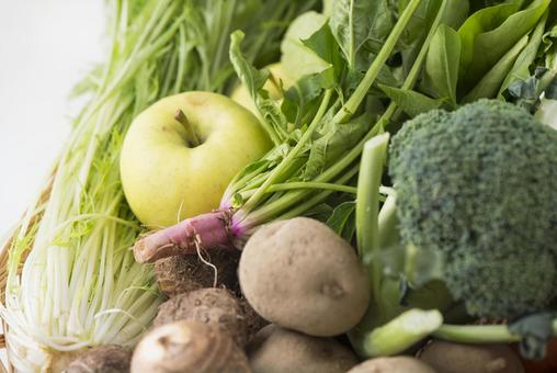 Freshly picked vegetables, JPG Freshly picked vegetables, JPG