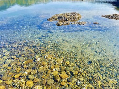 海岸 磯 干潮 海岸 磯 干潮の写真