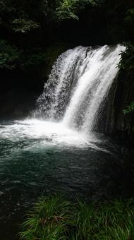森の中に流れる滝の風景 森の中に流れる滝の風景 滝,自然,森の写真素材