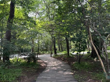 Karuizawa, JPG