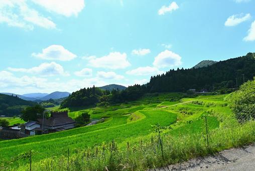 青空と美しい棚田の風景 青空と美しい棚田の風景の写真