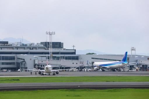 上昇する陽と翼 上昇する陽と翼の写真