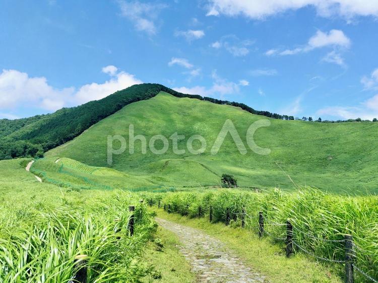夏の曽爾高原　6 曽爾高原,夏,緑の写真素材
